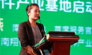 上海市嘉定区南翔镇 上海市嘉定区南翔镇